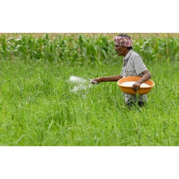 engrais d&#39;urée pour l&#39;herbe